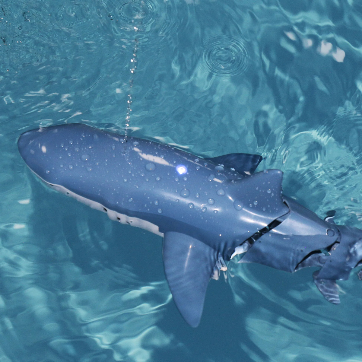 Remote Control Shark Boat