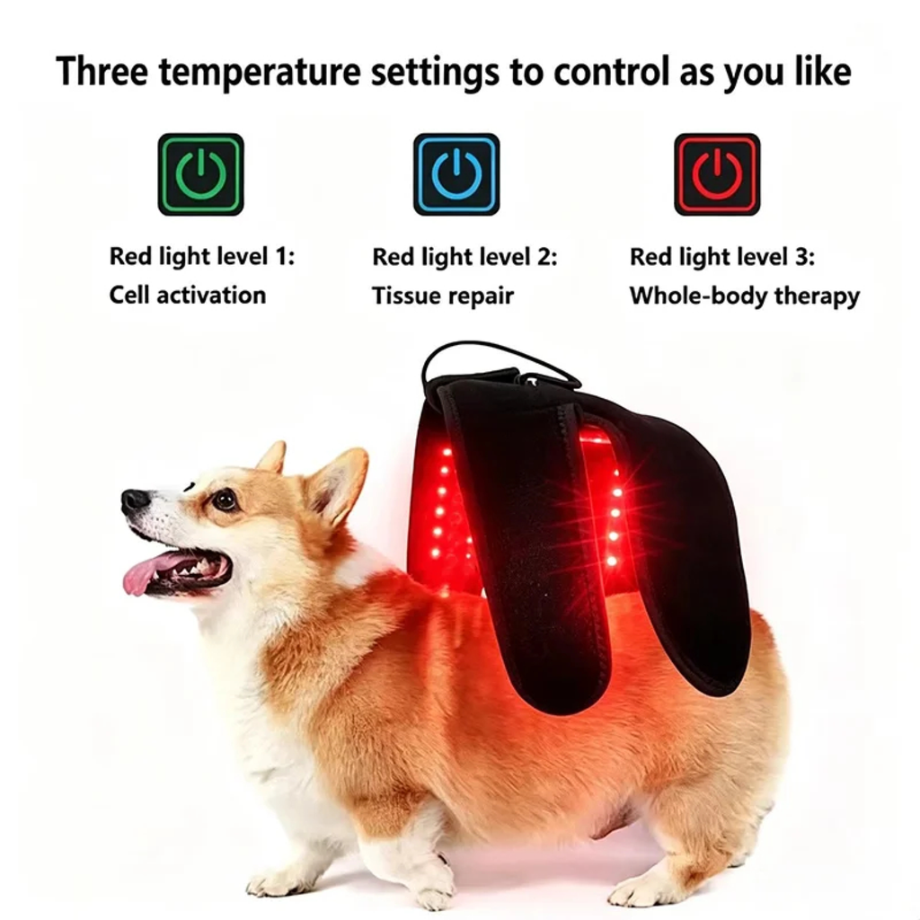 Wearable Red Light Therapy for Pets